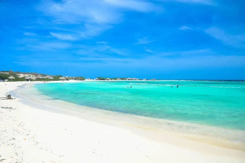 Cozy 1-Bedroom Apartment Minutes Away Drive To Mangel Halto Beach Savaneta 0*,