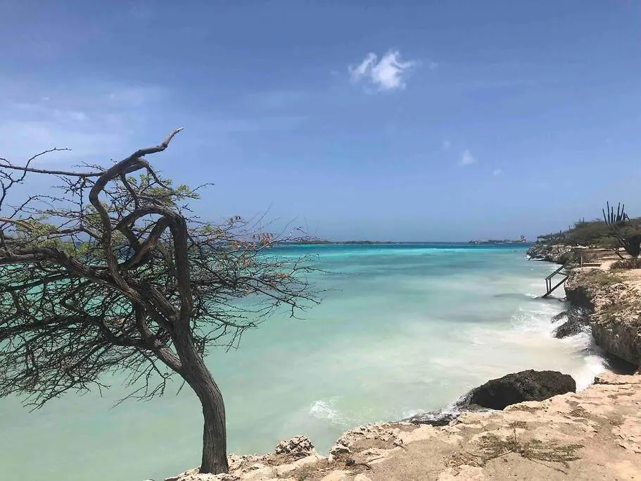 Cozy 1-Bedroom Apartment Minutes Away Drive To Mangel Halto Beach Savaneta 0*,  Aruba